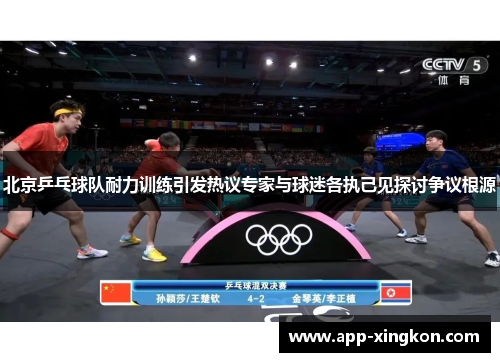 北京乒乓球队耐力训练引发热议专家与球迷各执己见探讨争议根源
