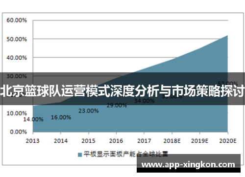 北京篮球队运营模式深度分析与市场策略探讨