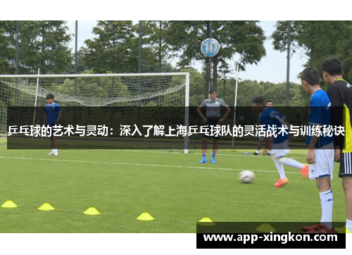 乒乓球的艺术与灵动：深入了解上海乒乓球队的灵活战术与训练秘诀