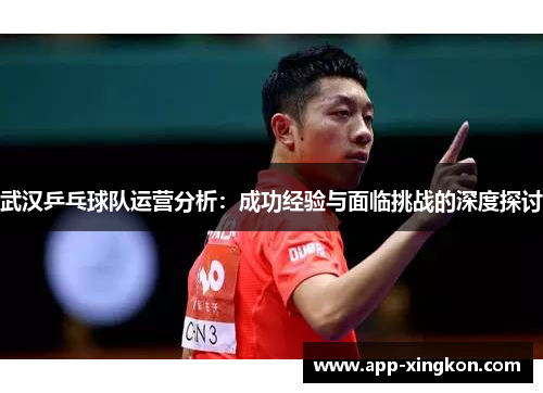 武汉乒乓球队运营分析：成功经验与面临挑战的深度探讨