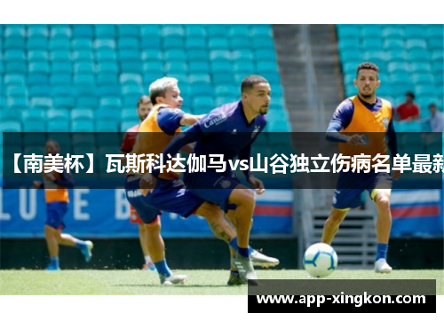 【南美杯】瓦斯科达伽马vs山谷独立伤病名单最新